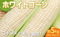 ＜2026年6月中旬以降発送・先行予約＞とうもろこし&nbsp;ホワイトコーン&nbsp;約2.5kg×2