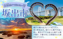 ＜2026年6月中旬以降発送・先行予約＞とうもろこし&nbsp;ホワイトコーン&nbsp;約2.5kg×2