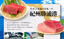 【期間限定】「鮨 やすみつ」 監修 那智勝浦の漬け鮪丼 ～生本まぐろの極み～（まぐろ柵200g・特製たれ110g付）【2026年3月～発送】