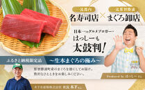 【期間限定】「鮨 やすみつ」 監修 那智勝浦の漬け鮪丼 ～生本まぐろの極み～（まぐろ柵200g・特製たれ110g付）【2026年3月～発送】