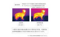 LaLaRelax&nbsp;ボーダーニット&nbsp;ホワイト×サックス【サイズ：S-long】