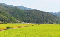 【 6ヶ月定期便】内子からり米　令和7年産ヒノヒカリ（精米10kg×1袋）×6ヶ月【北海道・沖縄配送不可】