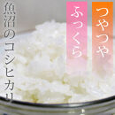 令和7年産&nbsp;新潟県&nbsp;魚沼産&nbsp;無洗米&nbsp;コシヒカリ600g(300gx2)&nbsp;精米&nbsp;一等米&nbsp;&nbsp;天糧