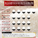 令和7年産&nbsp;新潟県&nbsp;魚沼産&nbsp;無洗米&nbsp;コシヒカリ600g(300gx2)&nbsp;精米&nbsp;一等米&nbsp;&nbsp;天糧