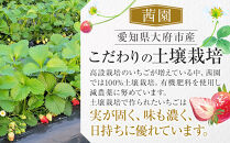 【贈答用・数量限定】とちおとめ　いちご　約1kg（約500g×2パック）1パック　15粒または20粒