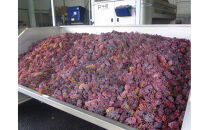 100%ぶどうジュース甲州4本セット