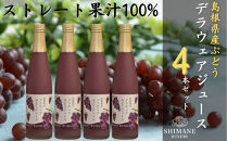 100%ぶどうジュースデラウェア4本セット