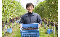 100%ぶどうジュースデラウェア&甲州　4本セット(各2本)