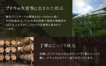 オレンジワイン2種セット【島根ワイナリー&nbsp;ワイン&nbsp;お酒&nbsp;赤ワイン&nbsp;オレンジワイン&nbsp;フルーティー&nbsp;ぶどうデラウェア&nbsp;出雲市産&nbsp;島根県&nbsp;おすすめ&nbsp;人気】