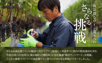 縁結シリーズ白ワイン2本セット【島根ワイナリー&nbsp;ワイン&nbsp;シャルドネ&nbsp;白ワイン&nbsp;ぶどう&nbsp;葡萄&nbsp;島根県&nbsp;おすすめ&nbsp;人気】