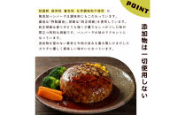 化学調味料保存料不使用無添加&nbsp;牛肉100％&nbsp;ハンバーグ&nbsp;120g×20個セット