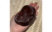 【鳥取県産】生きくらげ&nbsp;1kg