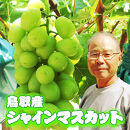 農家直送&nbsp;鳥取いとう園芸産&nbsp;シャインマスカット&nbsp;2房で約1.2kg