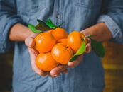 手が止まらない 訳あり 有田みかん 約3kg 大きさ無選別（2S〜3L） 糖度11度以上 鳴川農園