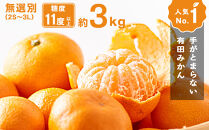 手が止まらない&nbsp;訳あり&nbsp;有田みかん&nbsp;約3kg&nbsp;大きさ無選別（2S〜3L）&nbsp;糖度11度以上&nbsp;鳴川農園&nbsp;　［2026年11月以降発送予定］