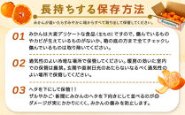 手が止まらない&nbsp;訳あり&nbsp;有田みかん&nbsp;約3kg&nbsp;大きさ無選別（2S〜3L）&nbsp;糖度11度以上&nbsp;鳴川農園&nbsp;　［2026年11月以降発送予定］