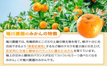 手が止まらない&nbsp;訳あり&nbsp;有田みかん&nbsp;約5kg&nbsp;大きさ無選別（2S〜3L）&nbsp;糖度11度以上&nbsp;鳴川農園&nbsp;［2026年11月以降発送予定］