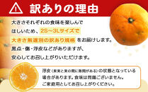 手が止まらない&nbsp;訳あり&nbsp;有田みかん&nbsp;約5kg&nbsp;大きさ無選別（2S〜3L）&nbsp;糖度11度以上&nbsp;鳴川農園&nbsp;［2026年11月以降発送予定］