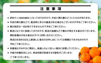手が止まらない&nbsp;訳あり&nbsp;有田みかん&nbsp;約5kg&nbsp;大きさ無選別（2S〜3L）&nbsp;糖度11度以上&nbsp;鳴川農園&nbsp;［2026年11月以降発送予定］