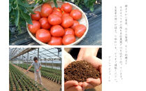 デリシャスファームのトマト(麗月)3キロ箱