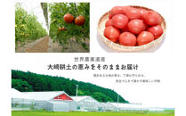 デリシャスファームのトマト(麗月)3キロ箱