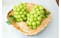 【通年定期便9回】富んでバラエティ中山便