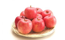 【通年定期便9回】富んでバラエティ中山便