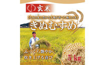 令和7年産　大上農園きぬむすめ&nbsp;玄米5kg