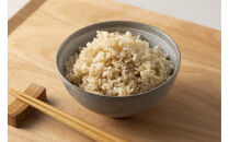 令和7年産　山崎農園こしひかり玄米5kg【こしひかり&nbsp;コシヒカリ&nbsp;玄米&nbsp;米&nbsp;お米&nbsp;こめ&nbsp;コメ&nbsp;ごはん&nbsp;ご飯&nbsp;白米&nbsp;弁当&nbsp;お弁当&nbsp;おにぎり&nbsp;おむすび&nbsp;甘い&nbsp;甘み&nbsp;もちもち&nbsp;モチモチ&nbsp;国産&nbsp;鳥取県産&nbsp;5kg&nbsp;5キロ&nbsp;美味しい&nbsp;おいしい&nbsp;新鮮&nbsp;令和7年産&nbsp;2025年産&nbsp;人気&nbsp;おすすめ&nbsp;鳥取県&nbsp;琴浦町&nbsp;送料無料】