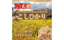 令和7年産　山崎農園こしひかり玄米10kg