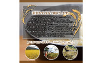 令和7年産　山崎農園こしひかり玄米10kg【こしひかり&nbsp;コシヒカリ&nbsp;玄米&nbsp;米&nbsp;お米&nbsp;こめ&nbsp;コメ&nbsp;ごはん&nbsp;ご飯&nbsp;白米&nbsp;弁当&nbsp;お弁当&nbsp;おにぎり&nbsp;おむすび&nbsp;甘い&nbsp;甘み&nbsp;もちもち&nbsp;モチモチ&nbsp;国産&nbsp;鳥取県産&nbsp;10kg&nbsp;10キロ&nbsp;美味しい&nbsp;おいしい&nbsp;新鮮&nbsp;令和7年産&nbsp;2025年産&nbsp;人気&nbsp;おすすめ&nbsp;鳥取県&nbsp;琴浦町&nbsp;送料無料】