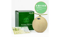 『組合直送』アローマメロン1.3kg&nbsp;1玉