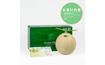 『組合直送』アローマメロン1.3kg&nbsp;2玉