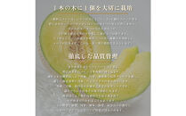 『組合直送』アローマメロン1.3kg&nbsp;2玉