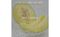 【定期便6ヶ月】『組合直送』アローマメロン1.3kg