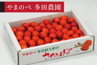 ＜先行予約＞【紅秀峰】バラ詰&nbsp;700g【やまのべ多田耕太郎のさくらんぼ&nbsp;多田農園】