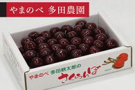 ＜先行予約＞【サミット】バラ詰&nbsp;700g【やまのべ多田耕太郎のさくらんぼ&nbsp;多田農園】