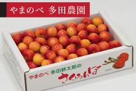 ＜先行予約＞【レーニア】バラ詰&nbsp;700g【やまのべ多田耕太郎のさくらんぼ&nbsp;多田農園】