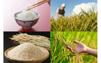 あぐりん村の令和7年度産&nbsp;愛知県長久手市産「あいちのかおり」精米5kg&nbsp;|長久手市&nbsp;あぐりん村&nbsp;長久手産&nbsp;あいちのかおり&nbsp;精米5kg&nbsp;ブランド米&nbsp;人気&nbsp;おすすめ&nbsp;ギフト&nbsp;プレゼント&nbsp;お取り寄せ&nbsp;通販&nbsp;送料無料&nbsp;ふるさと納税