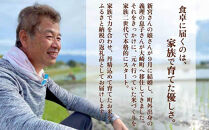 【精米】新米&nbsp;大崎産&nbsp;新宮ほのか米&nbsp;（なつほのか）5kg