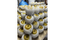 1256.【2026年度発送先行予約】数量限定　新甘泉　3kg