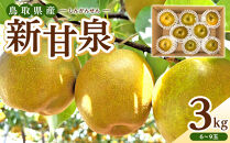 【数量限定】2026年度発送&nbsp;先行予約&nbsp;新甘泉&nbsp;3kg【梨&nbsp;なし&nbsp;しんかんせん&nbsp;3キロ&nbsp;限定&nbsp;令和8年&nbsp;先行受付&nbsp;新鮮&nbsp;鳥取県産&nbsp;鳥取県&nbsp;北栄町&nbsp;おすすめ&nbsp;人気】