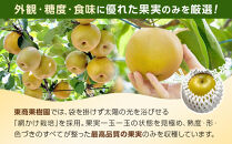 【数量限定】2026年度発送&nbsp;先行予約&nbsp;新甘泉&nbsp;3kg【梨&nbsp;なし&nbsp;しんかんせん&nbsp;3キロ&nbsp;限定&nbsp;令和8年&nbsp;先行受付&nbsp;新鮮&nbsp;鳥取県産&nbsp;鳥取県&nbsp;北栄町&nbsp;おすすめ&nbsp;人気】