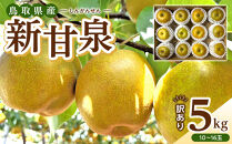 【2026年度発送&nbsp;先行予約】訳あり&nbsp;新甘泉&nbsp;5kg【梨&nbsp;なし&nbsp;しんかんせん&nbsp;5キロ&nbsp;家庭用&nbsp;訳アリ&nbsp;令和8年&nbsp;先行受付&nbsp;新鮮&nbsp;鳥取県産&nbsp;鳥取県&nbsp;北栄町&nbsp;おすすめ&nbsp;人気】