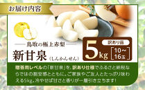 【2026年度発送&nbsp;先行予約】訳あり&nbsp;新甘泉&nbsp;5kg【梨&nbsp;なし&nbsp;しんかんせん&nbsp;5キロ&nbsp;家庭用&nbsp;訳アリ&nbsp;令和8年&nbsp;先行受付&nbsp;新鮮&nbsp;鳥取県産&nbsp;鳥取県&nbsp;北栄町&nbsp;おすすめ&nbsp;人気】
