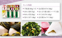 【土井志ば漬本舗】はんなり京漬物8種10点セット&nbsp;WS50(秋冬)&nbsp;｜京都大原&nbsp;老舗&nbsp;漬物&nbsp;有名店&nbsp;人気セット［&nbsp;千枚漬&nbsp;赤かぶ漬&nbsp;志ば漬きざみ&nbsp;すぐききざみ&nbsp;志そ漬きゅうりなど&nbsp;8種10点&nbsp;食べ比べ&nbsp;おすすめ&nbsp;野菜&nbsp;つけもの&nbsp;ギフト&nbsp;プレゼント&nbsp;贈答&nbsp;お取り寄せ&nbsp;通販&nbsp;送料無料&nbsp;ふるさと納税&nbsp;］