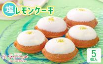 【ふるさと納税】北谷の塩レモンケーキ5個入り&nbsp;|&nbsp;沖縄&nbsp;レモンケーキ&nbsp;北谷の塩&nbsp;ケーキ&nbsp;人気&nbsp;人気店&nbsp;おすすめ&nbsp;北谷&nbsp;ちゃたん&nbsp;おすすめ&nbsp;送料無料