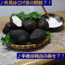 【芋家なか吉】スペシャル丹波山の芋☆二刀流☆セット&nbsp;(11月収穫プレミアム特選品つくね芋)｜京都&nbsp;人気&nbsp;やまいも［&nbsp;京都&nbsp;山の芋専門店&nbsp;職人&nbsp;とろろ&nbsp;芋&nbsp;いも&nbsp;イモ&nbsp;野菜&nbsp;3kg&nbsp;人気&nbsp;おすすめ&nbsp;お取り寄せ&nbsp;通販&nbsp;送料無料&nbsp;ふるさと納税&nbsp;］