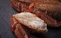 【12月25日～30日到着】北海道 オホーツク産 毛ガニ 1尾（1kg前後）_01189