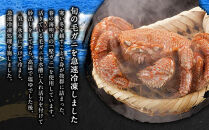 【12月25日～30日到着】北海道オホーツク産 毛ガニ 1尾（500g前後）_01191